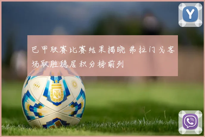 巴甲联赛比赛结果揭晓 弗拉门戈客场取胜稳居积分榜前列